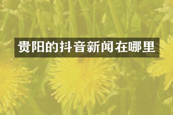 贵阳的抖音新闻在哪里