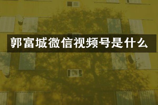郭富城微信视频号是什么