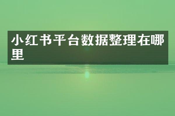 小红书平台数据整理在哪里