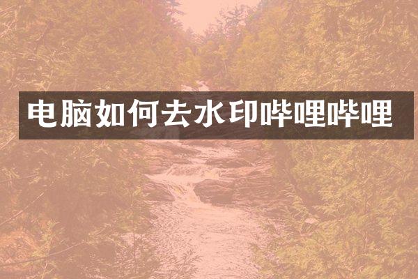 电脑如何去水印哔哩哔哩