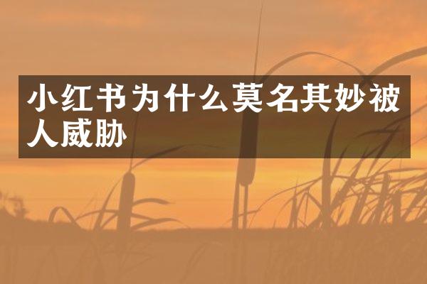 小红书为什么莫名其妙被人威胁