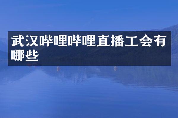 武汉哔哩哔哩直播工会有哪些