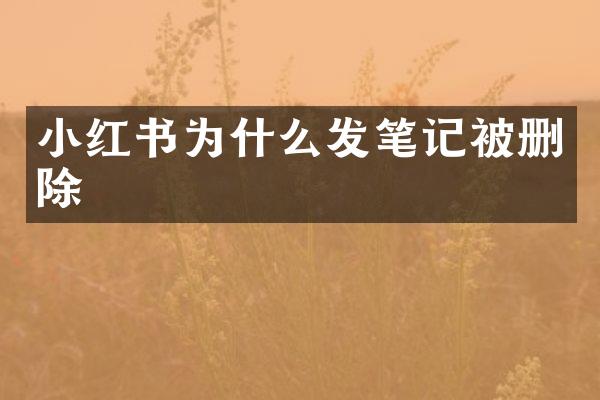 小红书为什么发笔记被删除