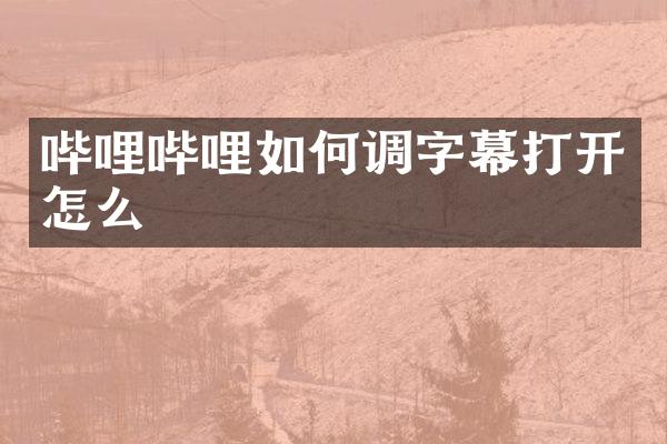 哔哩哔哩如何调字幕打开怎么