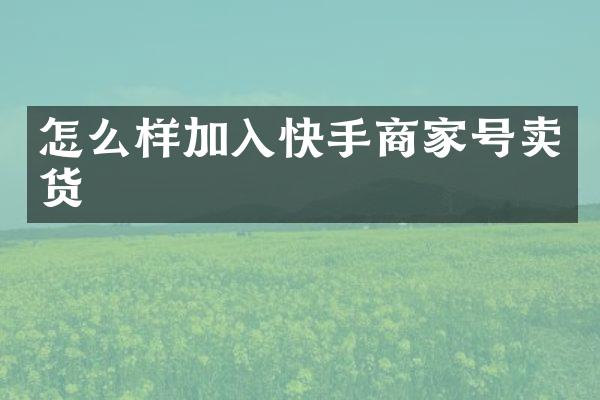 怎么样加入快手商家号卖货