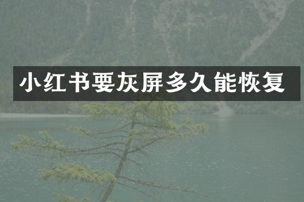 小红书要灰屏多久能恢复