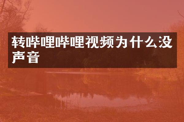 转哔哩哔哩视频为什么没声音