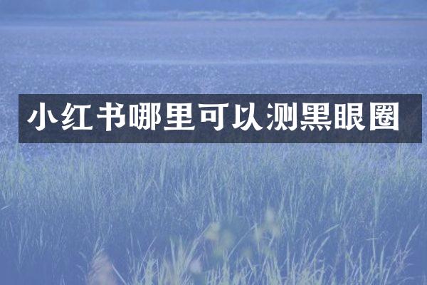 小红书哪里可以测黑眼圈