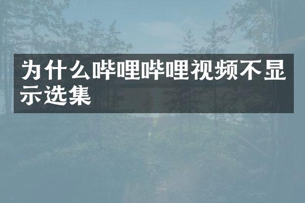 为什么哔哩哔哩视频不显示选集