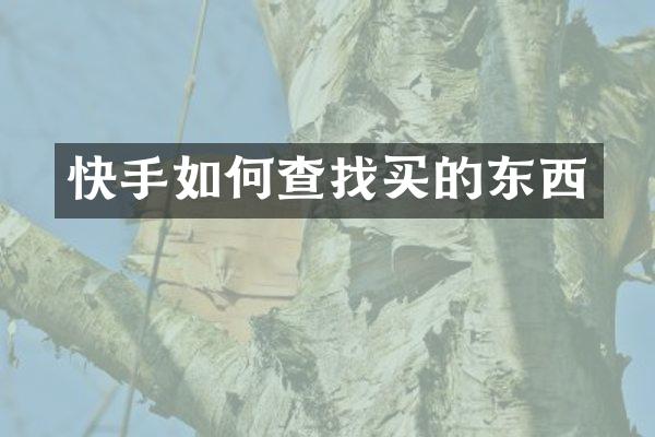 快手如何查找买的东西