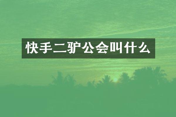 快手公会叫什么