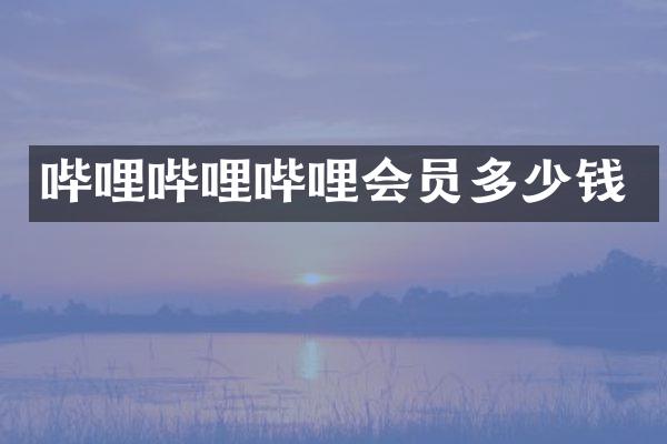 哔哩哔哩哔哩会员多少钱