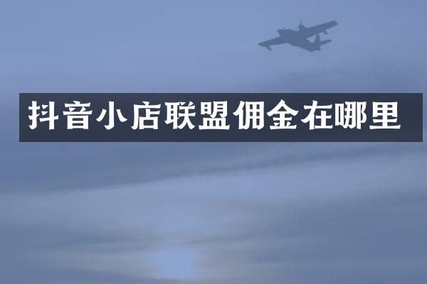 抖音小店联盟佣金在哪里