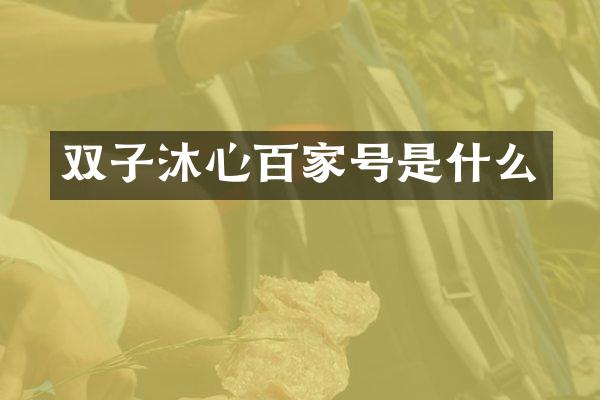 双子沐心百家号是什么