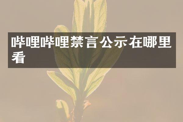 哔哩哔哩禁言公示在哪里看