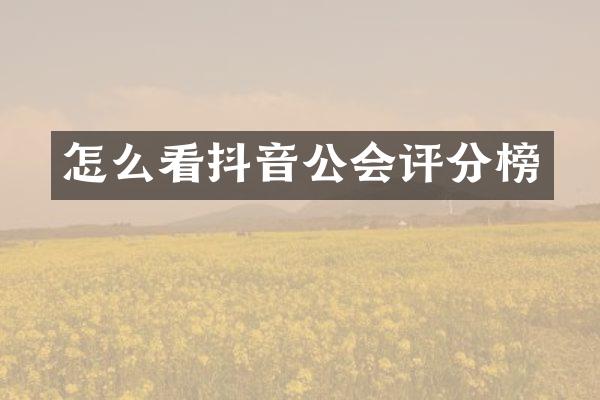 怎么看抖音公会评分榜