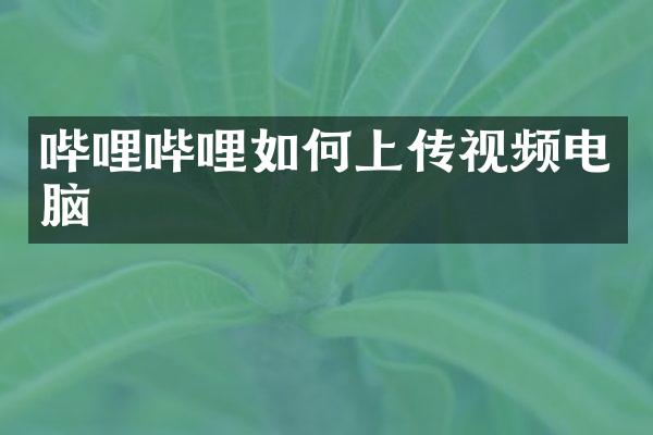 哔哩哔哩如何上传视频电脑