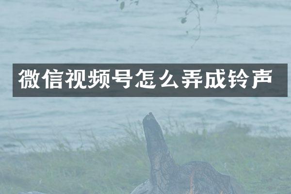 微信视频号怎么弄成铃声
