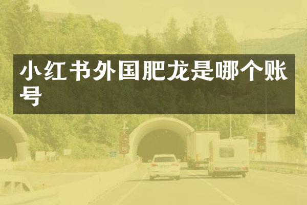 小红书外国肥龙是哪个账号