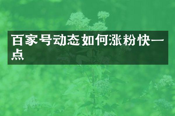 百家号动态如何涨粉快一点