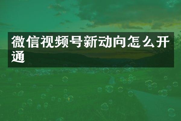 微信视频号新动向怎么开通