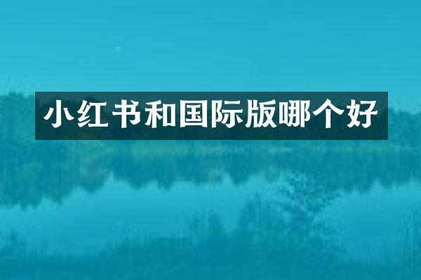 小红书和国际版哪个好
