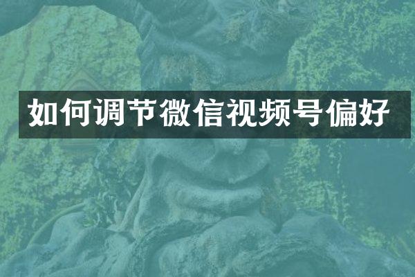 如何调节微信视频号偏好