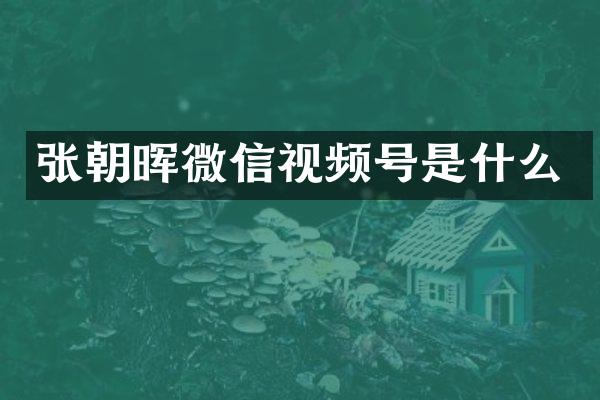 张朝晖微信视频号是什么