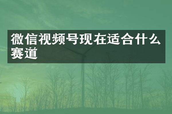 微信视频号现在适合什么赛道