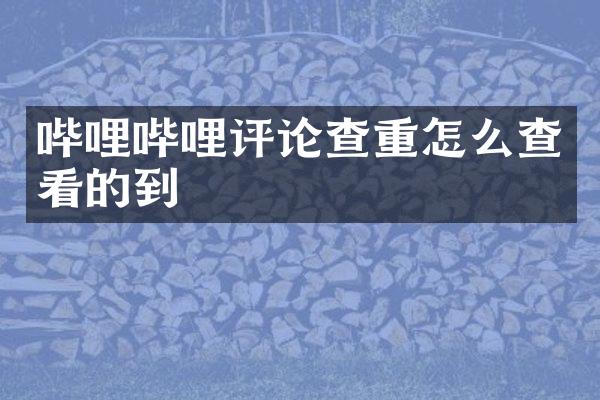 哔哩哔哩评论查重怎么查看的到