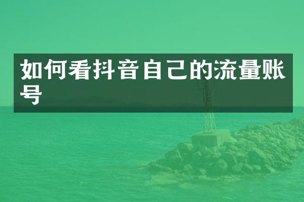 如何看抖音自己的流量账号