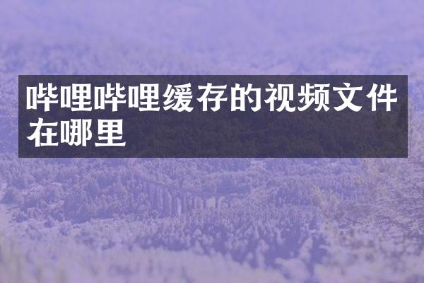 哔哩哔哩缓存的视频文件在哪里