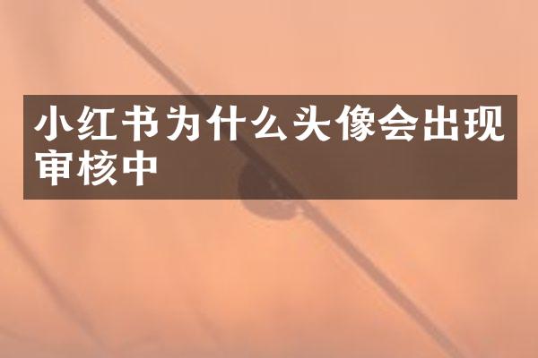 小红书为什么头像会出现审核中