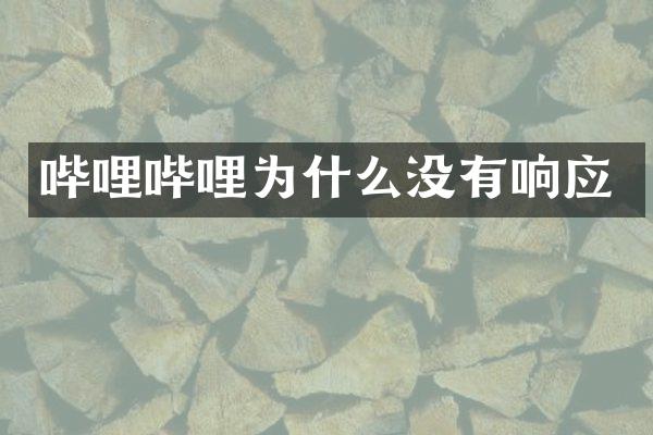 哔哩哔哩为什么没有响应