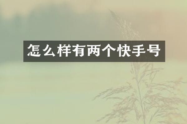怎么样有两个快手号