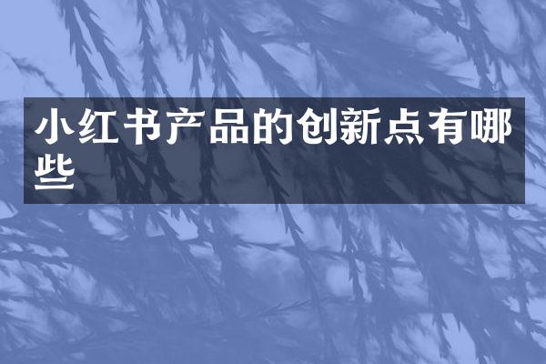 小红书产品的创新点有哪些