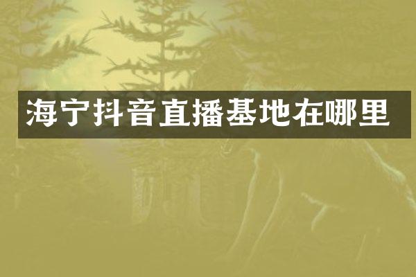 海宁抖音直播基地在哪里