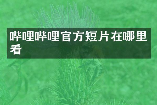 哔哩哔哩官方短片在哪里看