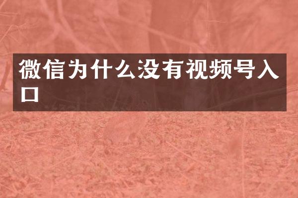 微信为什么没有视频号入口