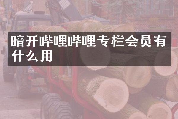 暗开哔哩哔哩专栏会员有什么用