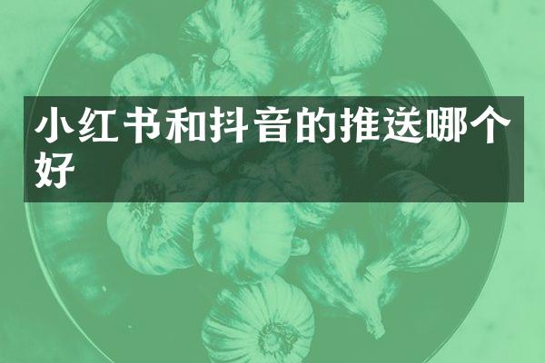 小红书和抖音的推送哪个好