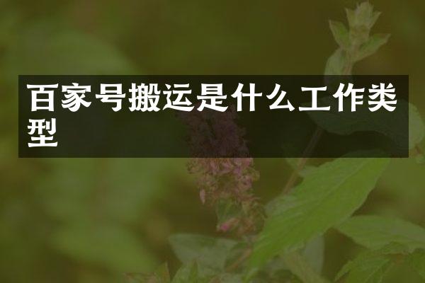 百家号搬运是什么工作类型