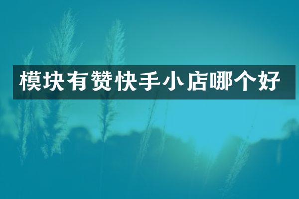 模块有赞快手小店哪个好