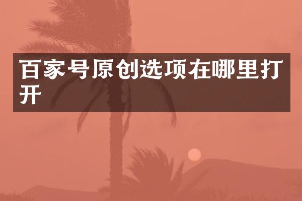 百家号原创选项在哪里打开