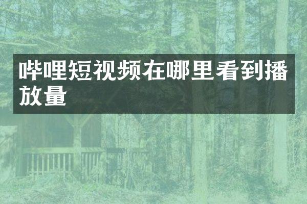 哔哩短视频在哪里看到播放量