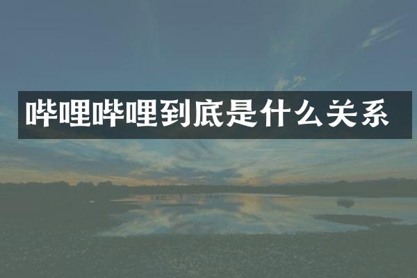 哔哩哔哩到底是什么关系