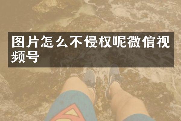 图片怎么不侵权呢微信视频号