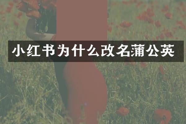 小红书为什么改名蒲公英