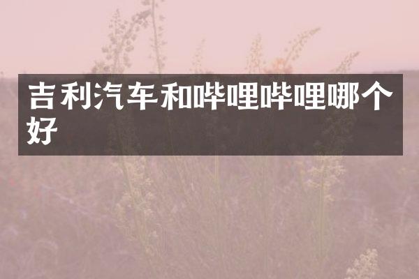 吉利汽车和哔哩哔哩哪个好