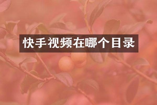 快手视频在哪个目录